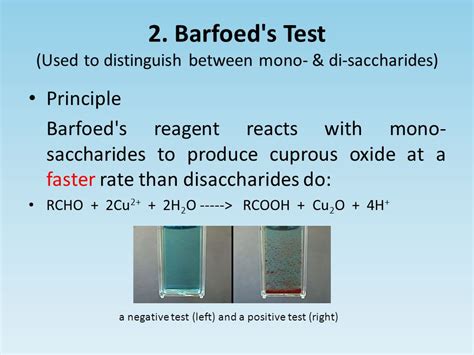 barfoed's test principle|Barfoed's test for mono and disaccharides .